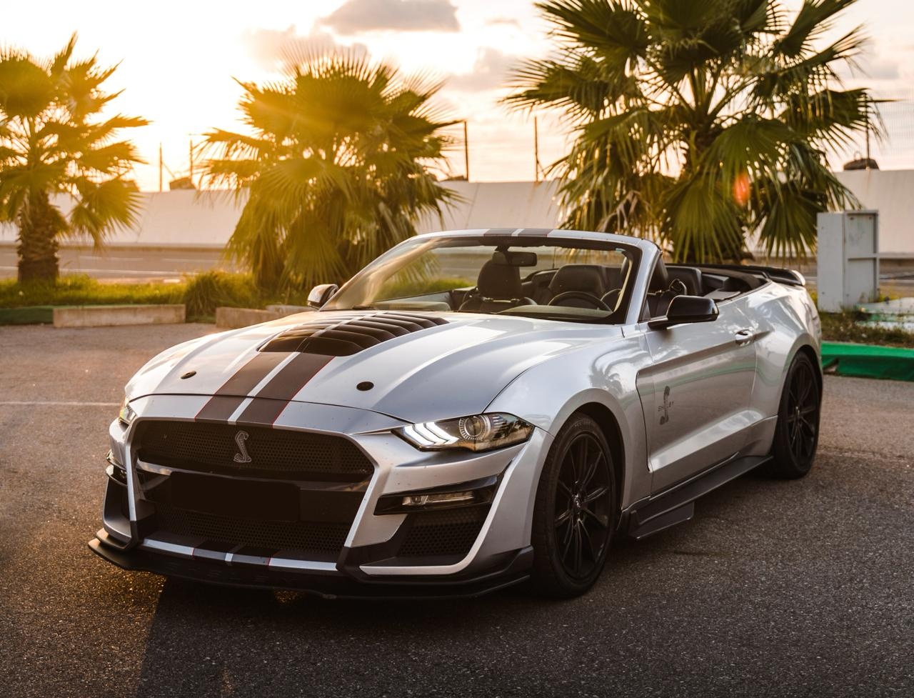 FORD MUSTANG SHELBY