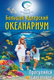 Sochi discovery world aquarium (океанариум)
